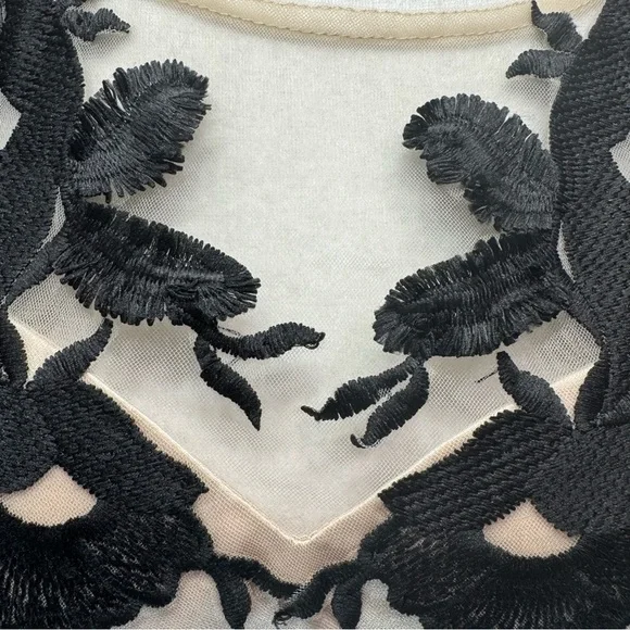 Black & Nude Dress Frilled Cocktail Party ModCloth Whimsigoth Chi Chi London 8 - Picture 8 of 16